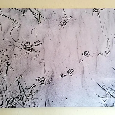 Osterhuus - Gemuetlich, Familienfreundlich, Wallbox, Wlan, 3-sterne, Im Zentrum Von * Neßmersiel